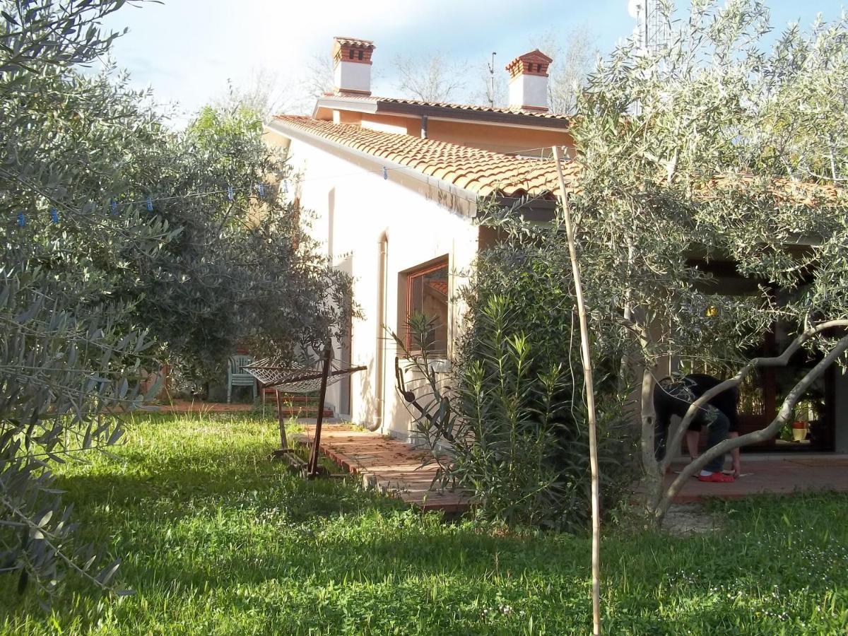 Villa Ambrosia Múggia Esterno foto