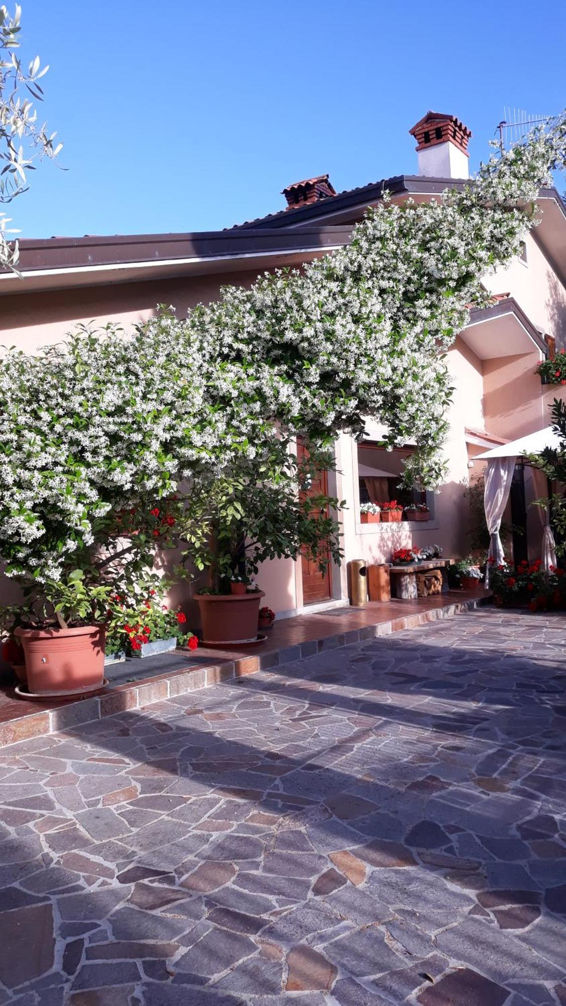 Villa Ambrosia Múggia Esterno foto